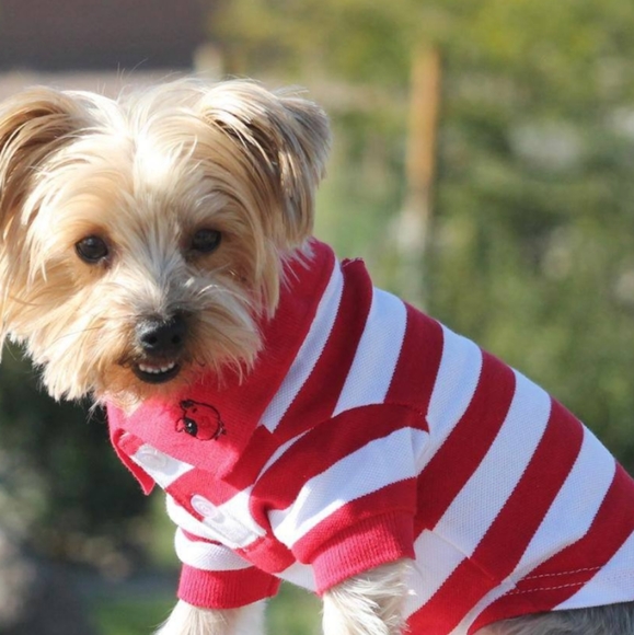 RED STRIPED POLO DOG SHIRT - Picture 1 of 4